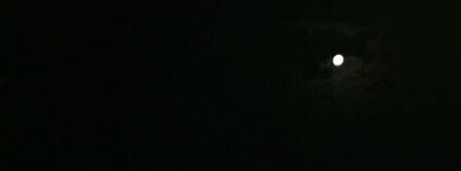 Foto: Neil McCabe / Flickr