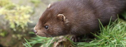 foto: Erni / Shutterstock