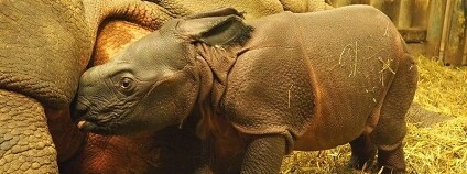 foto: Klára Stuchlová / Facebook