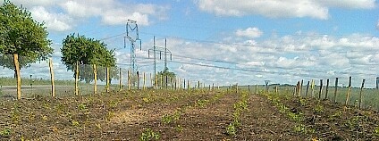 foto: Lesy České republiky