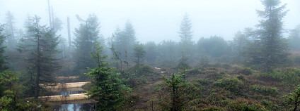Foto: Jakub Trska  / Nadace Ivana Dejmala pro ochranu přírody