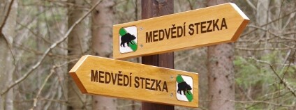 Foto: Markéta Rudlová / Správa NP a CHKO Šumava