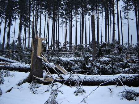 Polom na Nových Hradech v roce 2007.