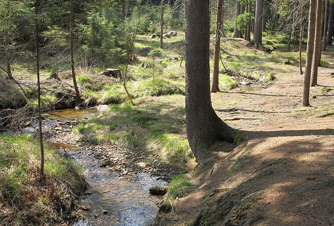 Potok Novohradka v přírodní rezervaci Maštale.