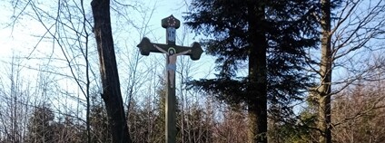 Vojenské lesy na Libavé obnovily historický kříž připomínající zaniklou osadu i pád amerického bombardéru. Foto: Vojenské lesy a statky