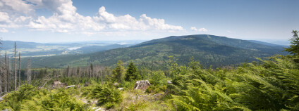 foto: JeP / Shutterstock