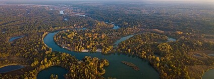 Národní přírodní park Svaté Hory v Doněcké oblasti na východní Ukrajině Foto: Konstantin Brizhnichenko Wikimeda Commons