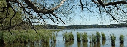 NPR Dářko Foto: Gutzerova Wikimedia Commons