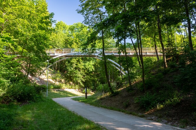 Obnova lesoparku Čertova rokle v Brně-Lesné.