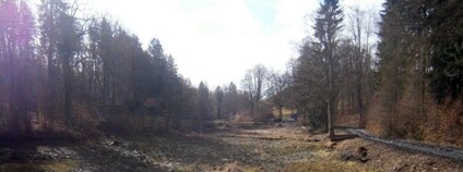 Lesy ČR obnovují pět lesních vodních nádrží na východě Čech Foto: Lesy ČR