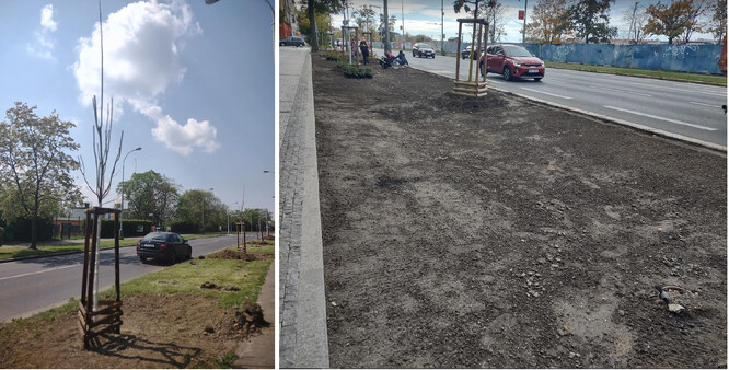 Obr. 13. Obnova zelených pásů.