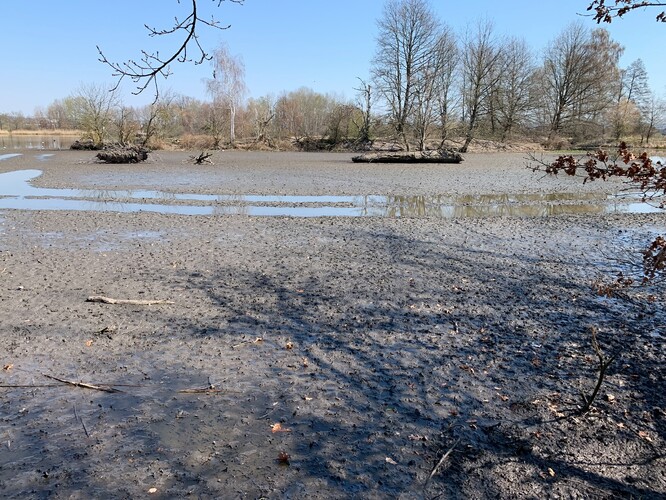 Obr. 4b:... byl znenadání kvůli přepouštění vody v soustavě opět vypuštěn (snímek z 5. dubna 2020).