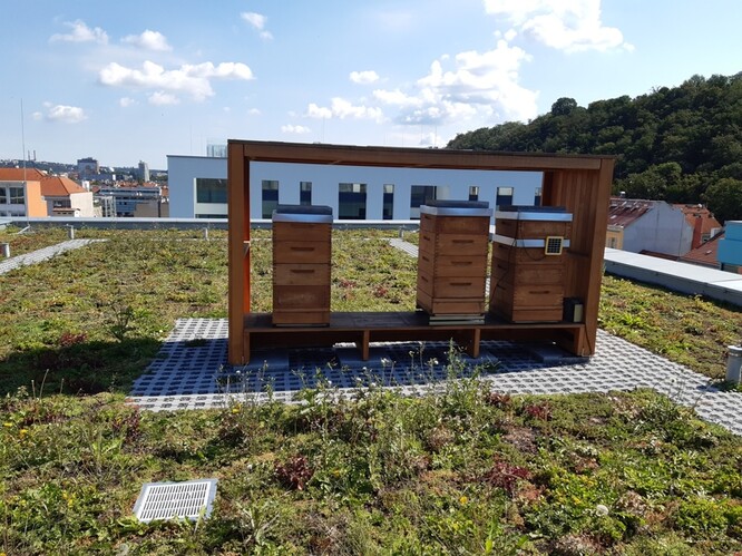 Obr. 16. Včelí úly na extenzivní vegetační střeše Praga Studios