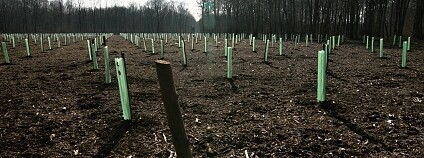 Foto:  Lukáš Čížek