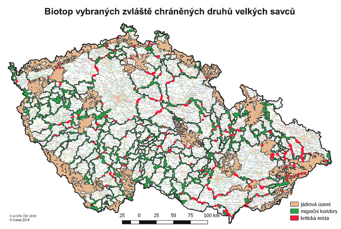 Biotop vybraných zvláště chráněných savců poskytovaný v rámci UAP.
