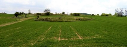 Příklad ostrovního ekosystému u Třebíče. Žulový výchoz je vnořený do zemědělské krajiny. Foto: G. Ottaviani AV ČR