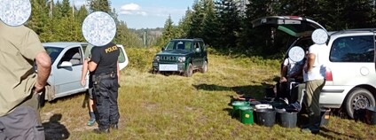 Bezohlední sběrači borůvek na Šumavě Foto: NP Šumava