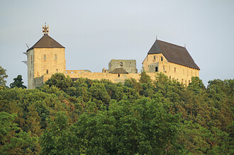 Příkladem dobré spolupráce vlastníka památky a státní ochrany přírody je hrad Točník ...