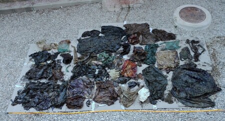 Obsah žaludku mrtvé velryby.