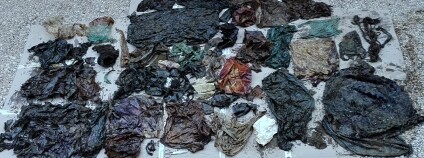 Foto: Dirección General de Medio Natural. Consejería de Turismo, Cultura y Medio Ambiente (Región de Murcia, España)