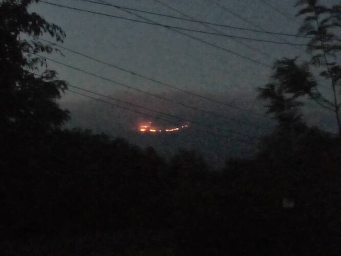 Zatím není jasné, jaké škody na okolní divoké přírodě požár napáchal.