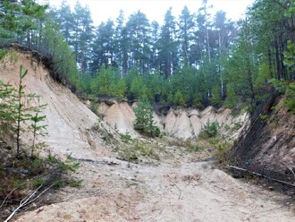 Okrajové partie ledenické pískovny