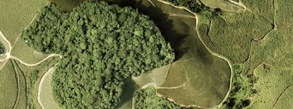 Foto: Usina Trapiche S/A