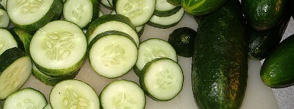 Okurka Foto: Muu-karhu Wikimeda.org