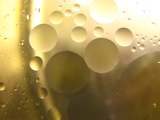 Statisticky přitom na každého obyvatele České republiky připadá 1,3 litru použitého jedlého oleje za rok. V Ostravě to je až 400 tun tuku, který dosud končil v kanalizaci nebo na skládce.