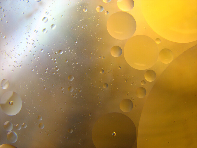 Španělsko se na globální produkci olivového oleje podílí téměř polovinou. Méně olivového oleje ze Španělska a pokračující problémy kolem dodávek slunečnicového oleje z Ukrajiny pravděpodobně udrží ceny rostlinných olejů vysoko.