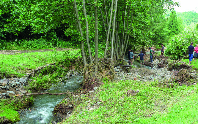 V takto povodní strukturně aktivovaném přirozeném korytě není vhodné mluvit o „povodňových škodách“. Členité, hydraulicky drsné koryto nebude zrychlovat průběh dalších povodní, naopak bude podporovat jejich tlumivé vylévání do okolních ploch. Z hydromorfologického hlediska je vhodné zdůraznit, že koryto prodělalo průchodem povodně tvarové změny, ale nezměnil se jeho základní tvarový a rozměrový vzorec a na něj vázané hydraulické a ekologické funkce.
