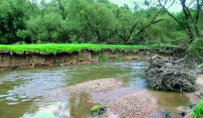 Ekologicky cenné struktury, vytvořené či podpořené v korytě vodního toku průchodem povodně – štěrkové lavice hlavně v jesepových polohách, strmý nárazový břeh s příležitostmi pro hnízdění ptáků, struktury říčního dřeva.