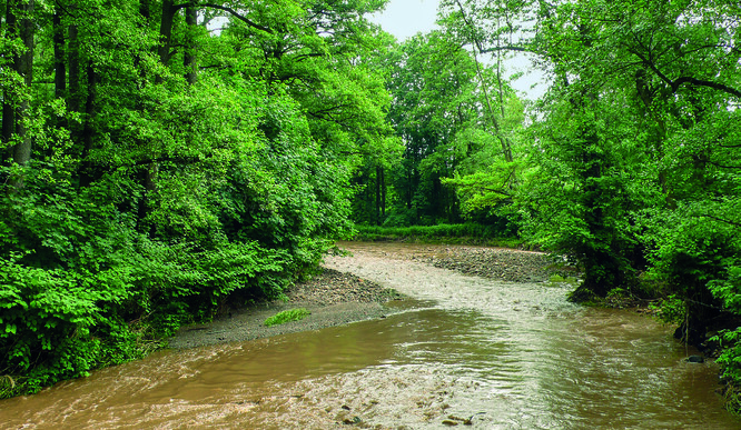 Štěrkové lavice, naplavené povodní v úseku potoka v nezastavěné krajině, je nepatřičné apriori pokládat za překážku v průtočnosti. Přínosy jejich případného odstraňování by nejspíš byly těžko dohledatelné, zatímco náklady takové činnosti a škody působené na vodním toku by byly výrazné.