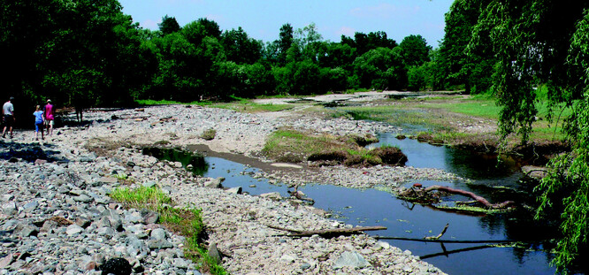 Říčka za povodně vystoupila do nivní louky, počala v ní modelovat paralelní koryto, odnesla významnou část půdního krytu a naopak nanesla štěrkokamenité splaveniny. Z pohledu uživatele louky se nepochybně jedná o povodňovou škodu a nežádoucí stav. Z hlediska morfologie vodního toku a říčního pásu však jde o vývoj, který by mohl být využit k obnově přirozeného říčního pásu.
