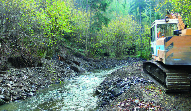 V lesním úseku přirozeného koryta potoka nesmyslná a škodlivá aplikace správcovské tradice, podle níž „má po povodni korytem projet bagr“. Až tento zásah, prováděný v rámci „odstraňování povodňových škod“, vodnímu toku skutečně uškodí – setřením přirozené popovodňové členitosti, mechanickou likvidací bioty.
