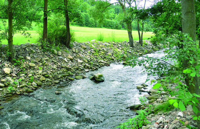To není nějaký „ženijní výkop“, ale koryto říčky, které prodělalo tzv. odstraňování povodňových škod vyhrnutím členitých povodňových struktur dna do břehů. Zejména v sousedství extenzivní louky velmi pochybné řešení, které poškodilo vodní tok ekologicky (setření členitosti) i vodohospodářsky (tvarování koryta, urychlující tečení vody, znehodnocení břehů a narušení komunikace mezi korytem a okolím převýšenými valy vyhrnutého materiálu).