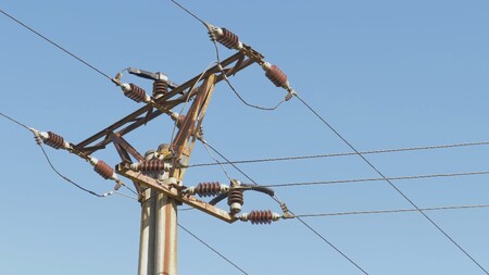 V okolí sloupů vysokého napětí se daří drobným živočichům. Podle studie vědců z Ústavu biologie obratlovců Akademie věd ČR (AV) tam žije více zvířat a druhů než v okolní zemědělsky obdělané krajině. / Ilustrační foto