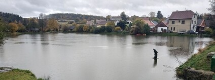 Opatský rybník ve Vrčeni na jižním Plzeňsku Foto: Itsd-foto Wikimeda Commons