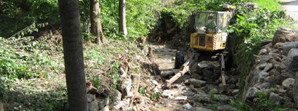 Foto: Martin Mach Ondřej / Ekolist.cz