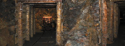 Foto: Pavel Kosek / Shutterstock