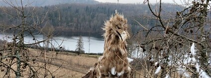 Foto: Záchranná stanice a Dům přírody Poodří