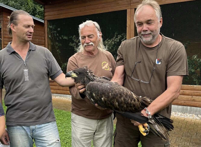 Pracovníci záchranné stanice Makov a orel mořský.