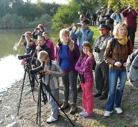 Vycházky do přírody spojené s pozorováním ptáků pořádají v nadcházejících dnech a týdnech pracovníci České ornitologické společnosti. Ilustrační foto.