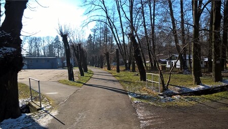 "Jako přitěžující okolnost inspektoři vyhodnotili, že se nezákonného kácení dopustil subjekt veřejné správy, který má být ostatním vzorem v dodržování právních předpisů," míní Karel Kozubek z ČIŽP.