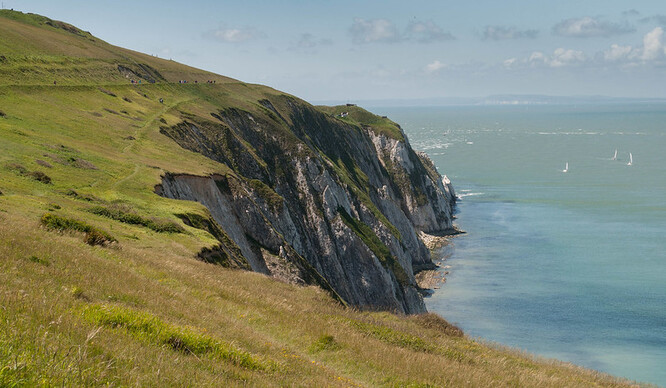 Čtyři zkameněliny patrně obratlů našli nezávisle na sobě tři muži na pláži Shanklin. Na obrázku ostrov Wight