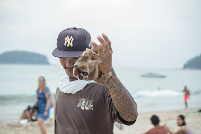 Outloň nabízený pro pobavení turistům na Kata Beach v Phuketu.