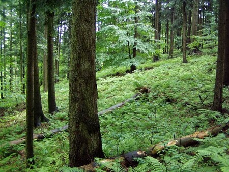 Vykoupená lokalita Ščúrnica na Zlínsku.