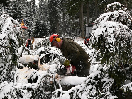 Vítr z předminulého víkendu nedá srovnat s kalamitami, které Šumavu zasáhly v předchozích dvou letech. Ilustrační snímek.