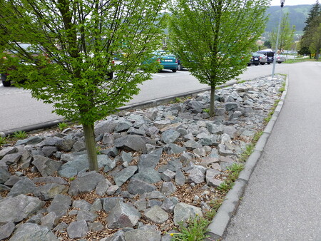 Do depresí s habry bylo použito k zásypu netříděné kamenivo s velkou frakcí, aby nebylo možné tudy projíždět a parkovat.