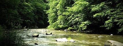 Foto: Radomír Dohnal / Ekolist.cz